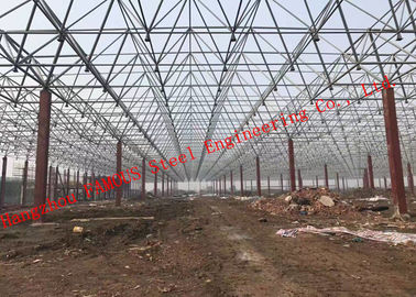 Porcelana Edificios de marco de acero enormes del palmo, estructura de acero que construye la instalación conveniente proveedor
