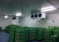 Paseo comercial del panel de la cámara fría del bocadillo de la PU en el congelador para el almacenamiento de la carne y de los pescados proveedor