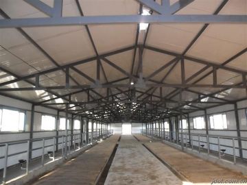 Porcelana Sistemas de acero prefabricados durables de la vaca que enmarcan/del caballo con la alta utilización flexible del espacio proveedor