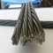 1x7 15.2m m 0,5' PE cubrió el filamento de acero de la PC con la grasa Unbonded 0,6' tensión del poste proveedor
